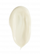 Forever Young Hydra-Protective Day Cream SPF 25 – Дневной гидрозащитный крем SPF 25 - МОРЕ КРЕМА официальный магазин косметики CHRISTINA LEVISSIME ARKADIA , Магазин Профессиональной косметики , доставка косметики