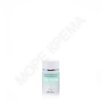 Лосьон эксфолиант Oily Home 2% салициловой к-ты - МОРЕ КРЕМА официальный магазин косметики CHRISTINA LEVISSIME ARKADIA , Магазин Профессиональной косметики , доставка косметики